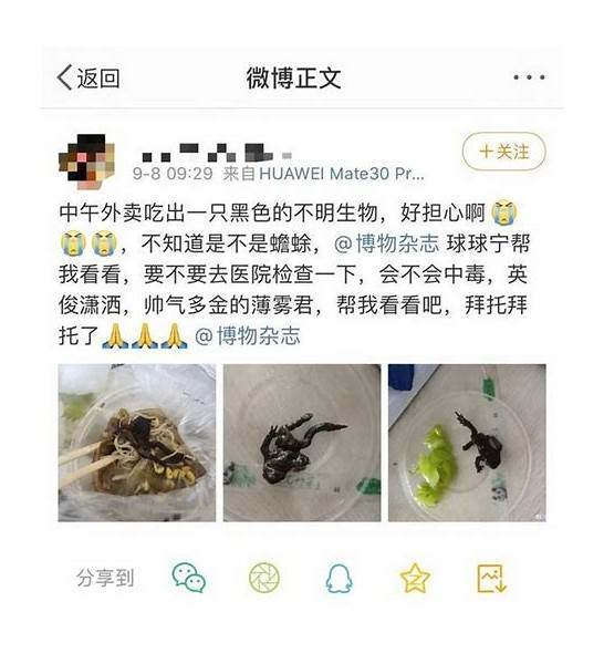 女子点外卖里面竟有只癞蛤蟆 看起来像是风干的