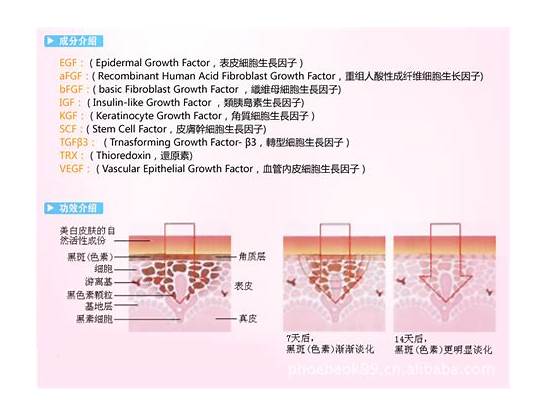 落户15万到20万推荐首选车款 15万到20万级别 性价比很高