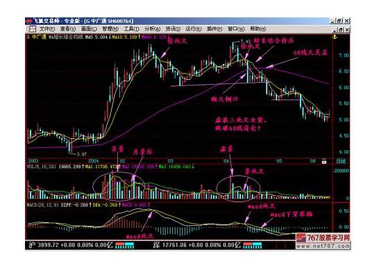 ：33选7术语