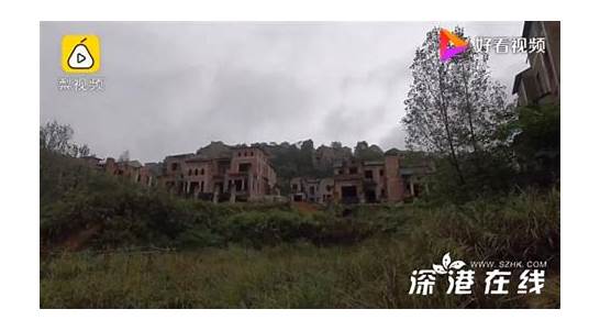 重庆南山豪华别墅群变鬼城 低价拍卖也只卖出一套