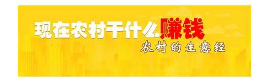 2020年农村现在干什么赚钱 做什么更赚钱 专家 5大养殖生意可年入10万