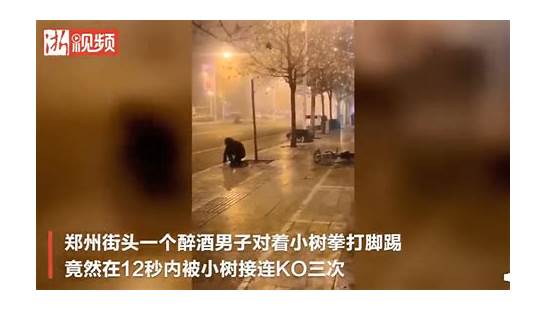 醉汉与小树对打12秒被ko三次与醉汉