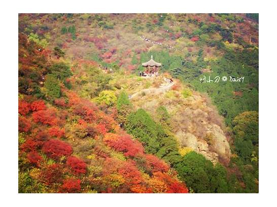 11月适合去国外哪旅游 11月出境旅游好去处推荐