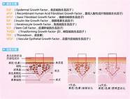 男子大量获取手机号及验证码 如何搞到大量手机号及验证码