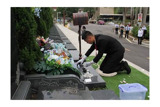 天津暂停今年清明节祭扫服务与祭扫