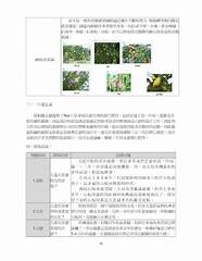 英语太差 黑客没盗成10亿美元