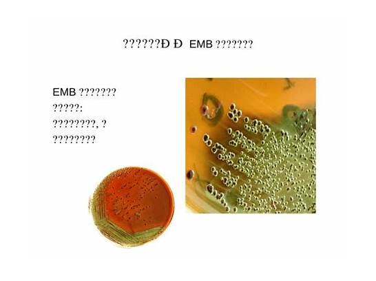 每日优鲜一款产品大肠菌群超标怎么回事 是哪款产品大肠菌群超标