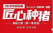 重庆去年人均吃33 6公斤猪肉 全国第一