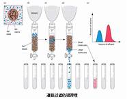 凝胶色谱法的原理与凝胶