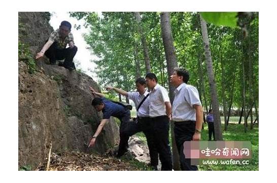 50岁女人哭诉 人到中年 婚姻危机该如何度过